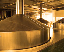 发酵过程的CO2测量